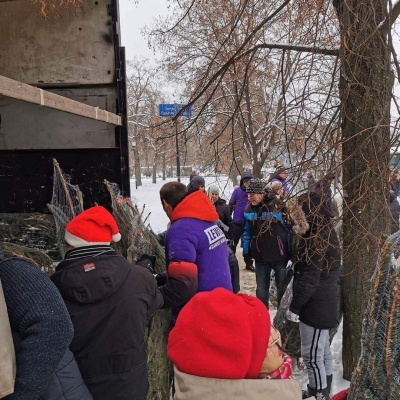 Bezpłatna choinka dla mieszkańców Łodzi