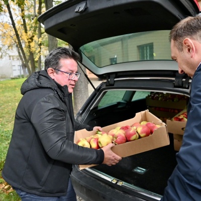 Jabłka dla szkoły - 2022